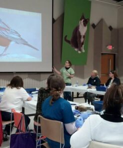 Spring Training Wet Lab 2026