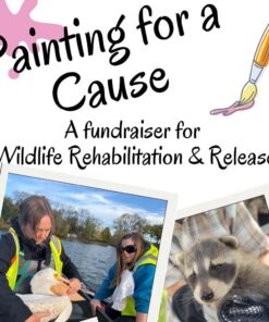 Painting for a Cause