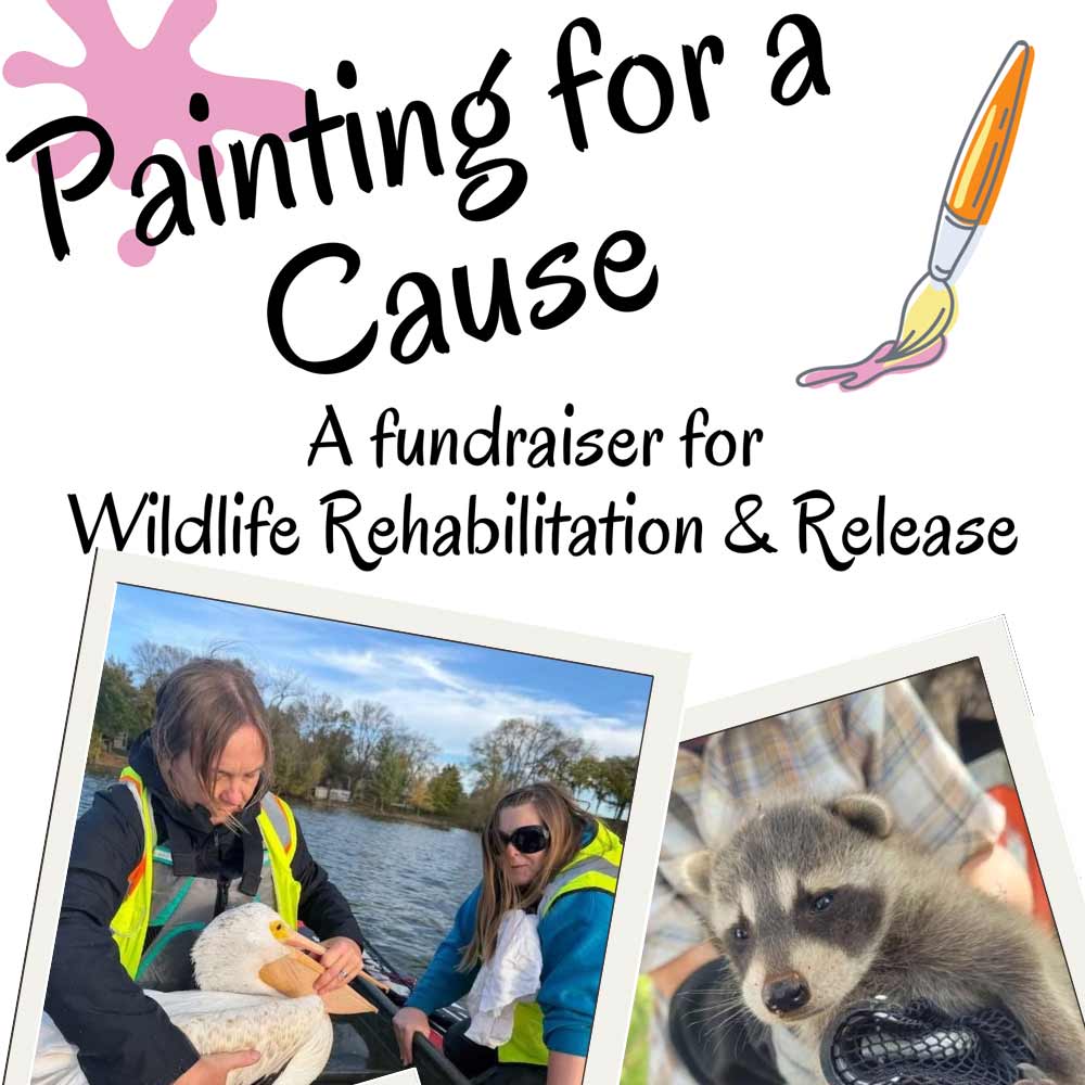 Painting for a Cause